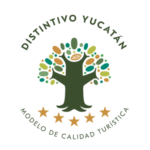 Group logo of DY. Networking